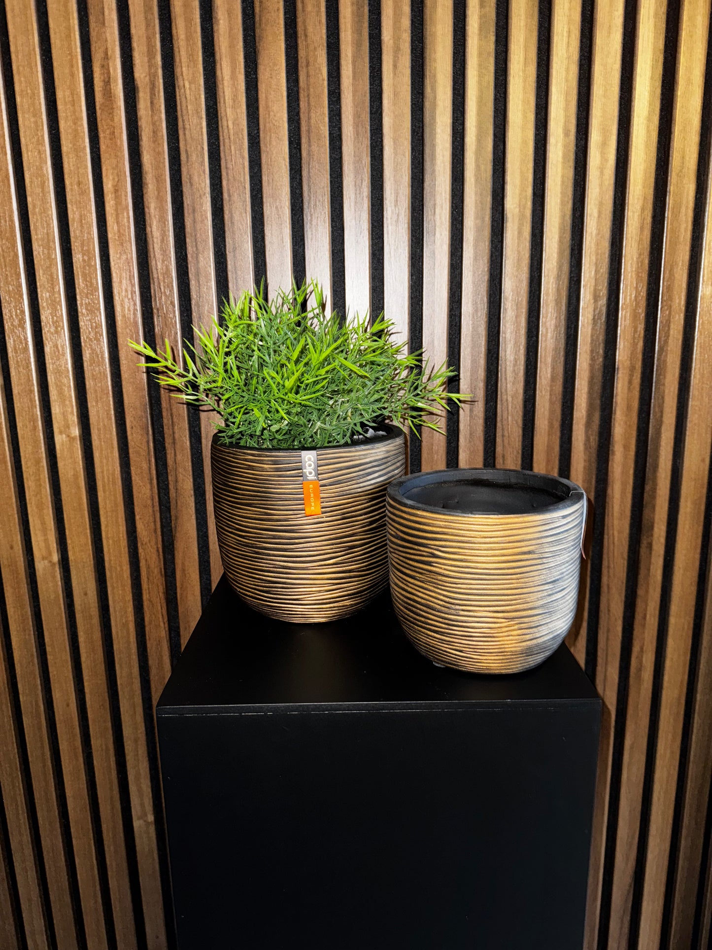 Pot bol rib M zwart goud | Capi Europe