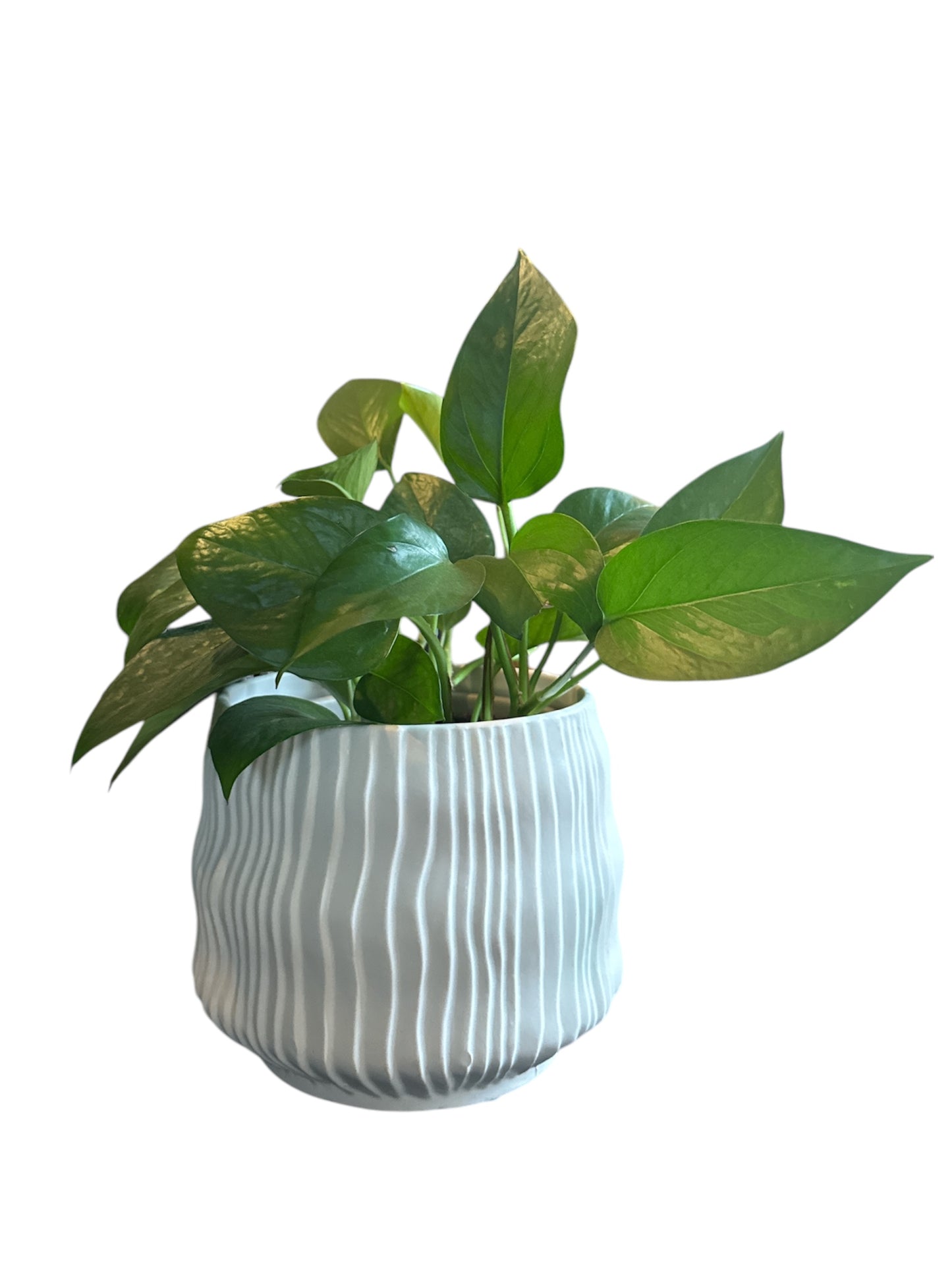 Pot rieti rond | maat M