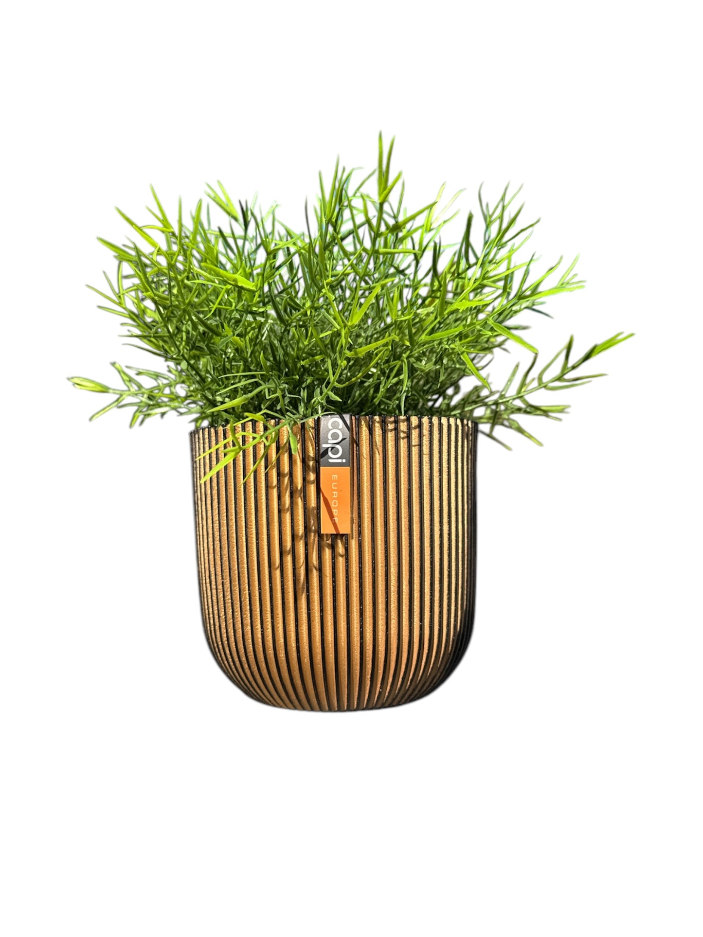 Pot bol streep S zwart goud | Capi Europe